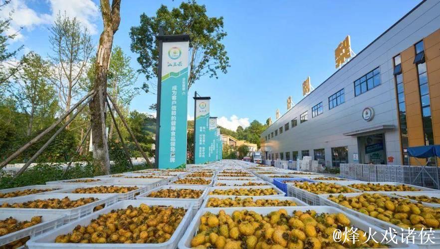 从刺梨故事看科技创新引领高质量发展